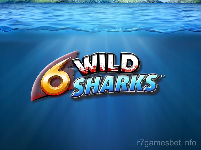 6 Wild Sharks